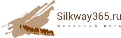 Логотип компании Silkway365