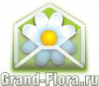 Логотип компании Доставка цветов Гранд Флора (ф-л г.Белокуриха)